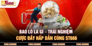 Bao Lô Là Gì