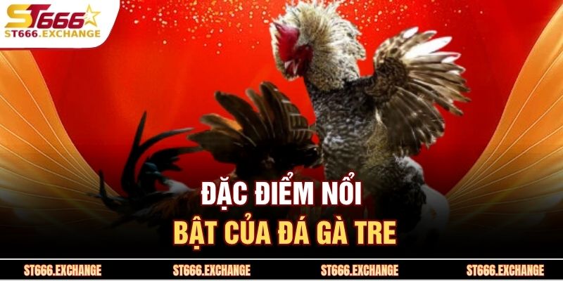 Đặc điểm nổi bật của đá gà tre