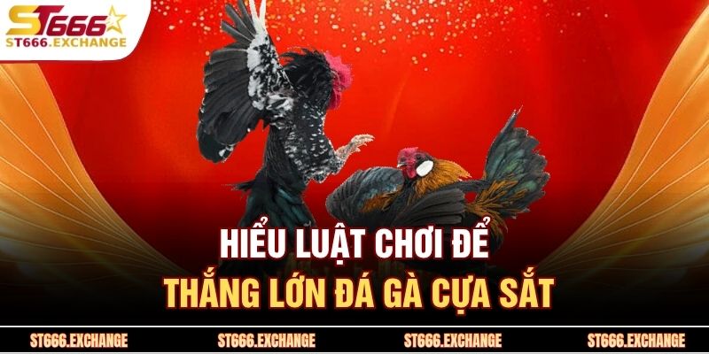 Hiểu luật chơi để thắng lớn đá gà cựa sắt