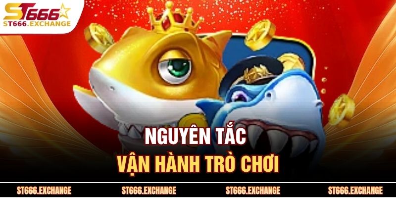Nguyên tắc vận hành trò chơi