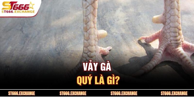 Vảy gà quý là gì?